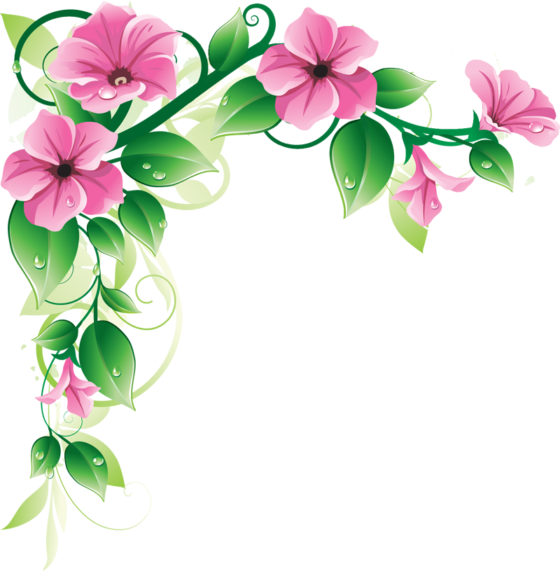 Floral Border Png I11 Png