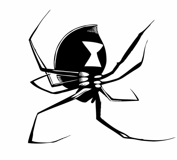 Black Widow Spider Drawings