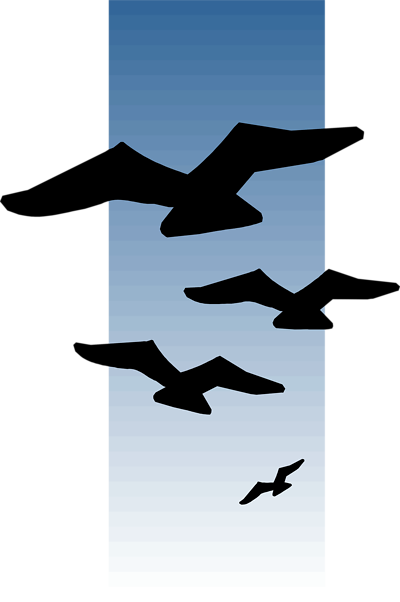 Free Stock Photos | Illustration Of Bird Silhouettes Flying ...