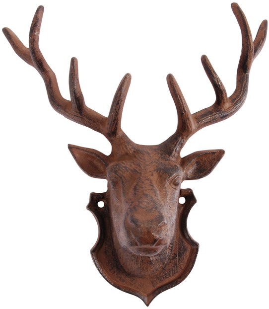 Mounted Deer Head: Taxidermy