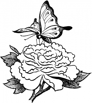Flowers And Butterflies Drawings With Bows - ClipArt Best