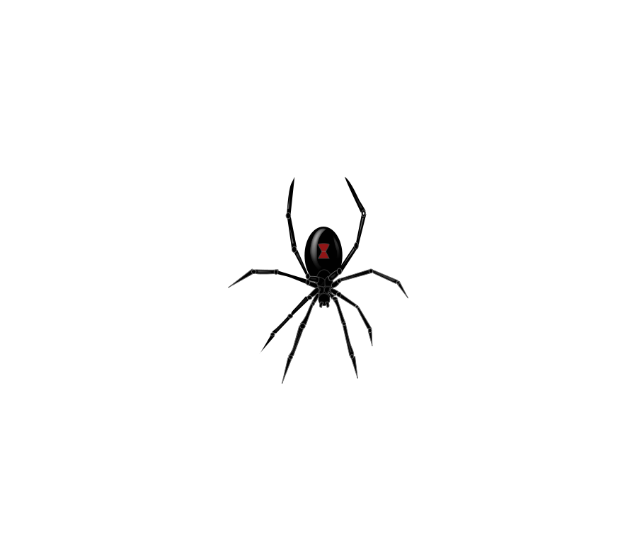 Black Widow Spider Clipart, vector clip art online, royalty free ...