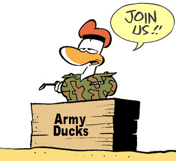 Army Duck Feature
