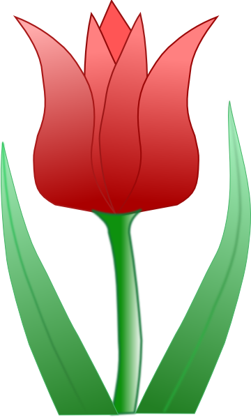 Tulip Clip Art - vector clip art online, royalty free ...
