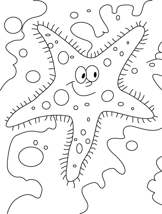 Starfish coloring page