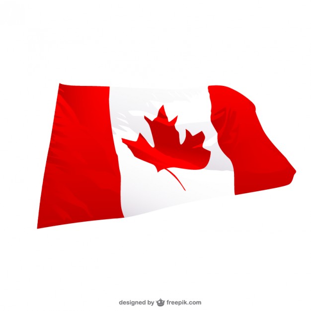 Canadian wavingr flag Vector | Free Download