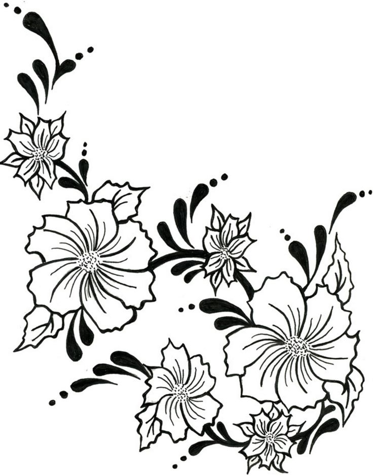 1000+ images about Line Drawings (Flowers 1)