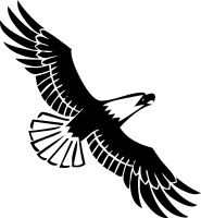 Soaring eagle clip art - ClipartFox