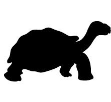 Baby Turtle Silhouette 9631 | DFILES
