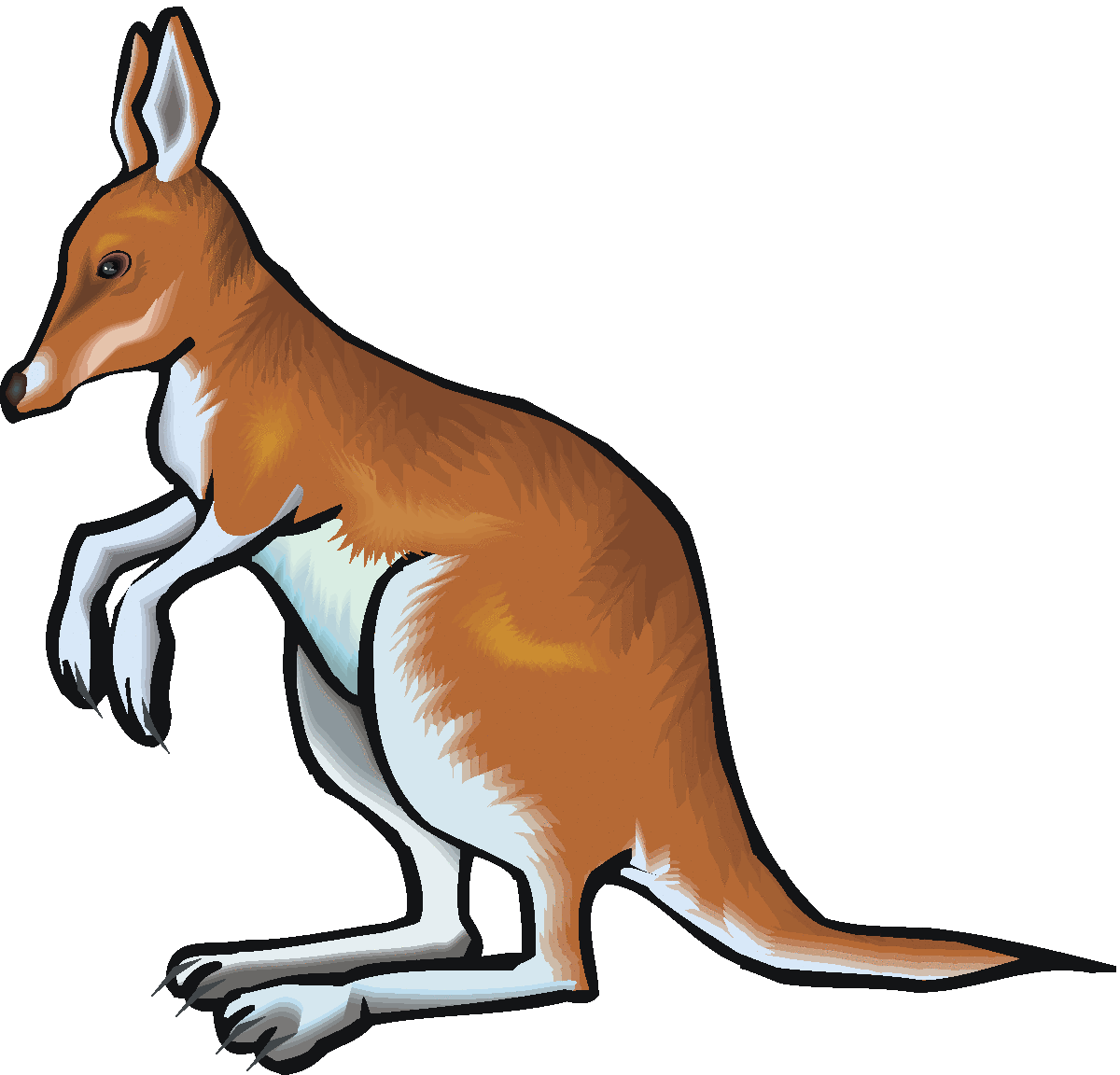 kangaroo face clipart - photo #27