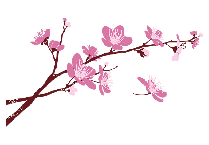 apple blossom clip art free - photo #46