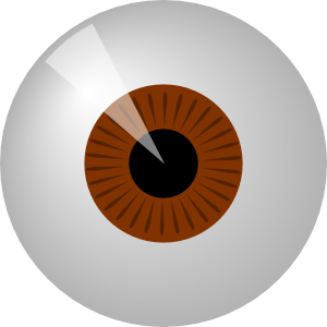 Brown Eye Clip Art - vector clip art online, royalty ...