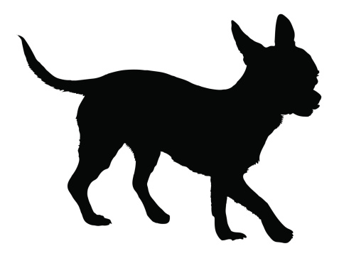 Chihuahua Dog Clip Art, Vector Images & Illustrations