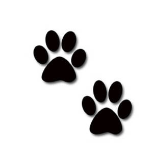 Graphics Of Dog Paw Prints By Petra on imgfave