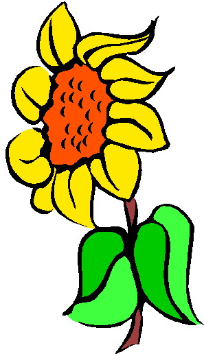Clip Art - Clip art sunflower 183146