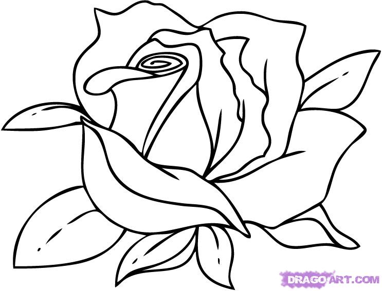 Rose Flowers Drawing | Free Download Clip Art | Free Clip Art | on ...