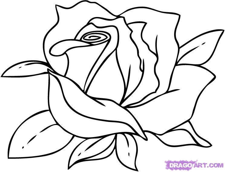 673 views Rose Flowers Drawing | Free Download Clip Art | Free Clip Art | on ...