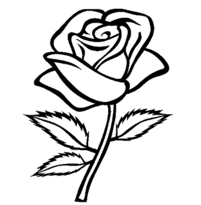 Rose Flowers Clipart Black And White