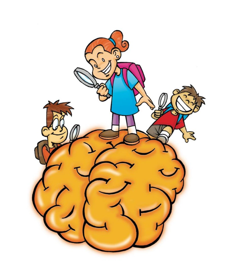 Best Brain Clipart For Kids #28873 - Clipartion.com