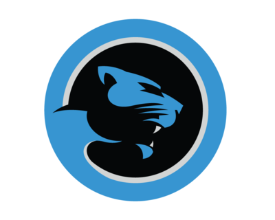 Cat Scratch Reader, a Carolina Panthers community