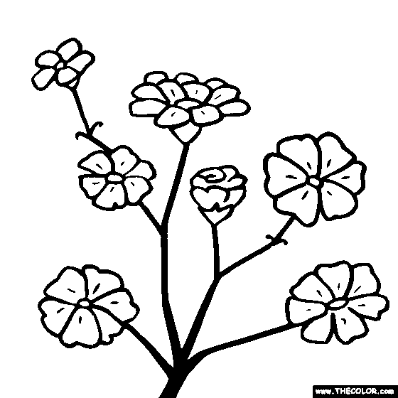 Flower Coloring Pages | Color Flowers Online | Page 1