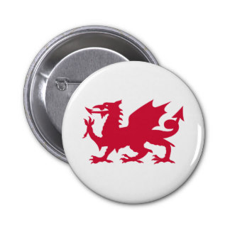 Dragon Silhouette Buttons and Dragon Silhouette Pins