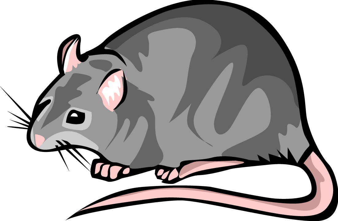 clipart cartoon rats - photo #12