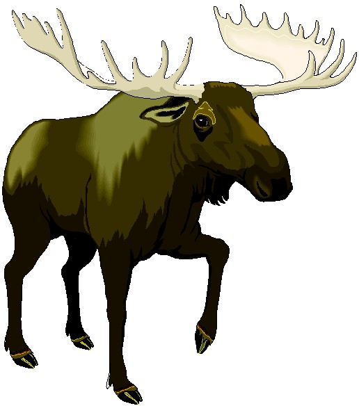 free clip art cartoon moose - photo #23