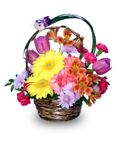 SPRING ARRIVAL Flower Basket | Spring Flowers | Flower Shop Network