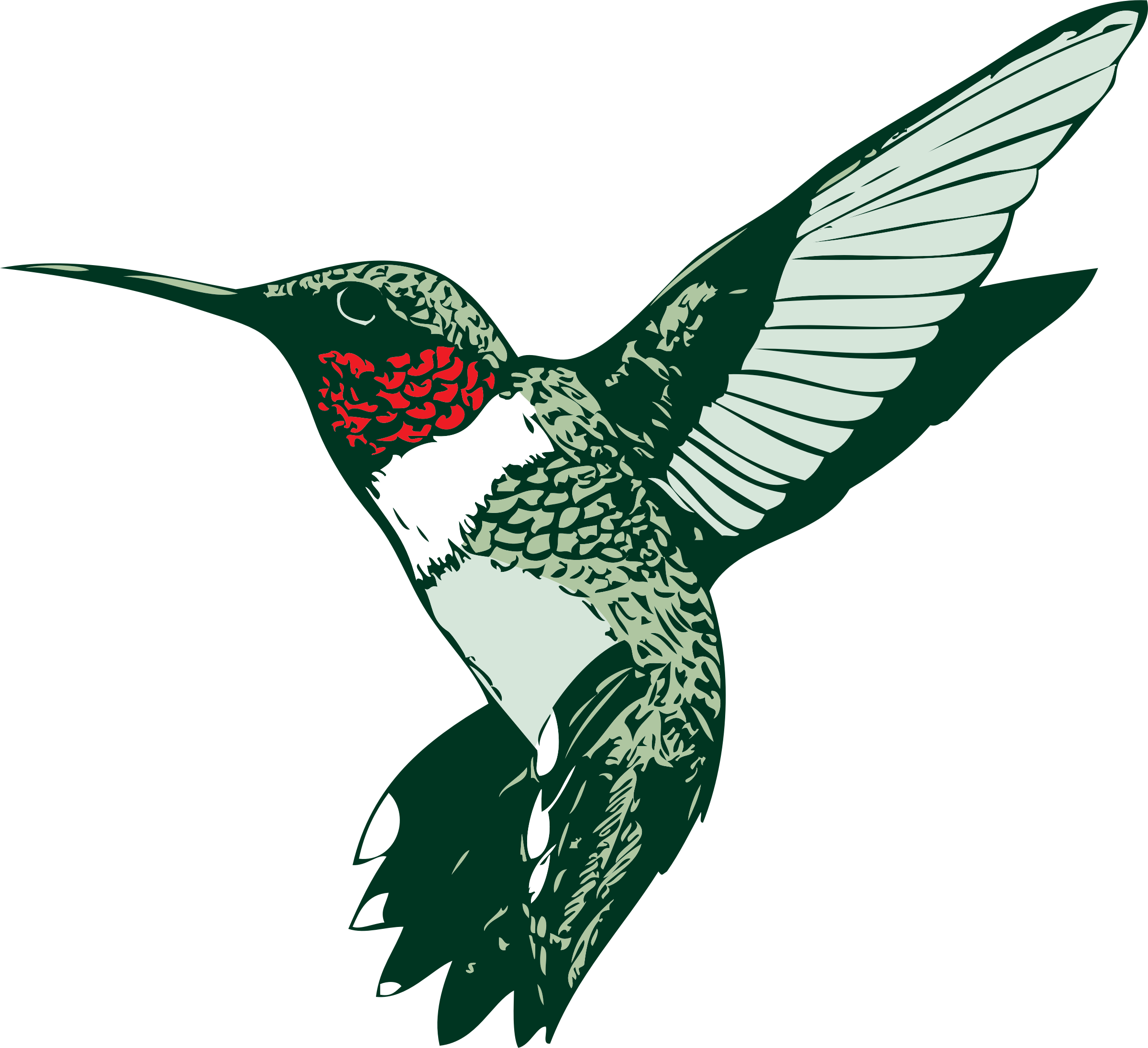 Hummingbird Graphics | Free Download Clip Art | Free Clip Art | on ...