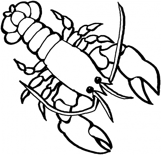 Best Lobster Outline #24050 - Clipartion.com