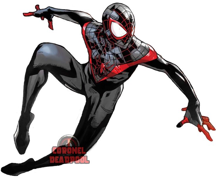 Miles Morales | Spider Man ...