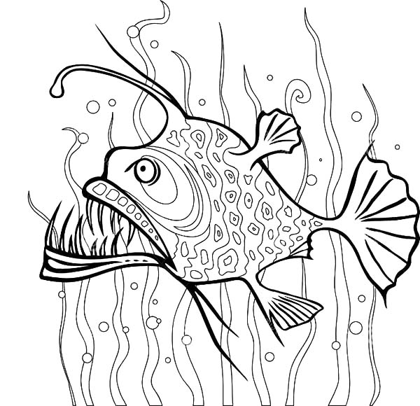 Angler Fish Between Seaweed Coloring Pages: Angler Fish Between ...