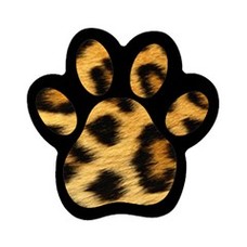 Cheetah Paw Print Pictures Clipart - Free to use Clip Art Resource