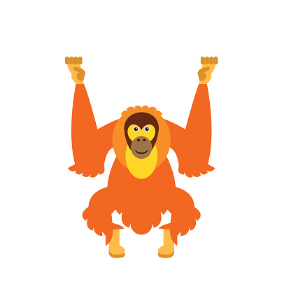 Orangutan Clip Art, Vector Images & Illustrations