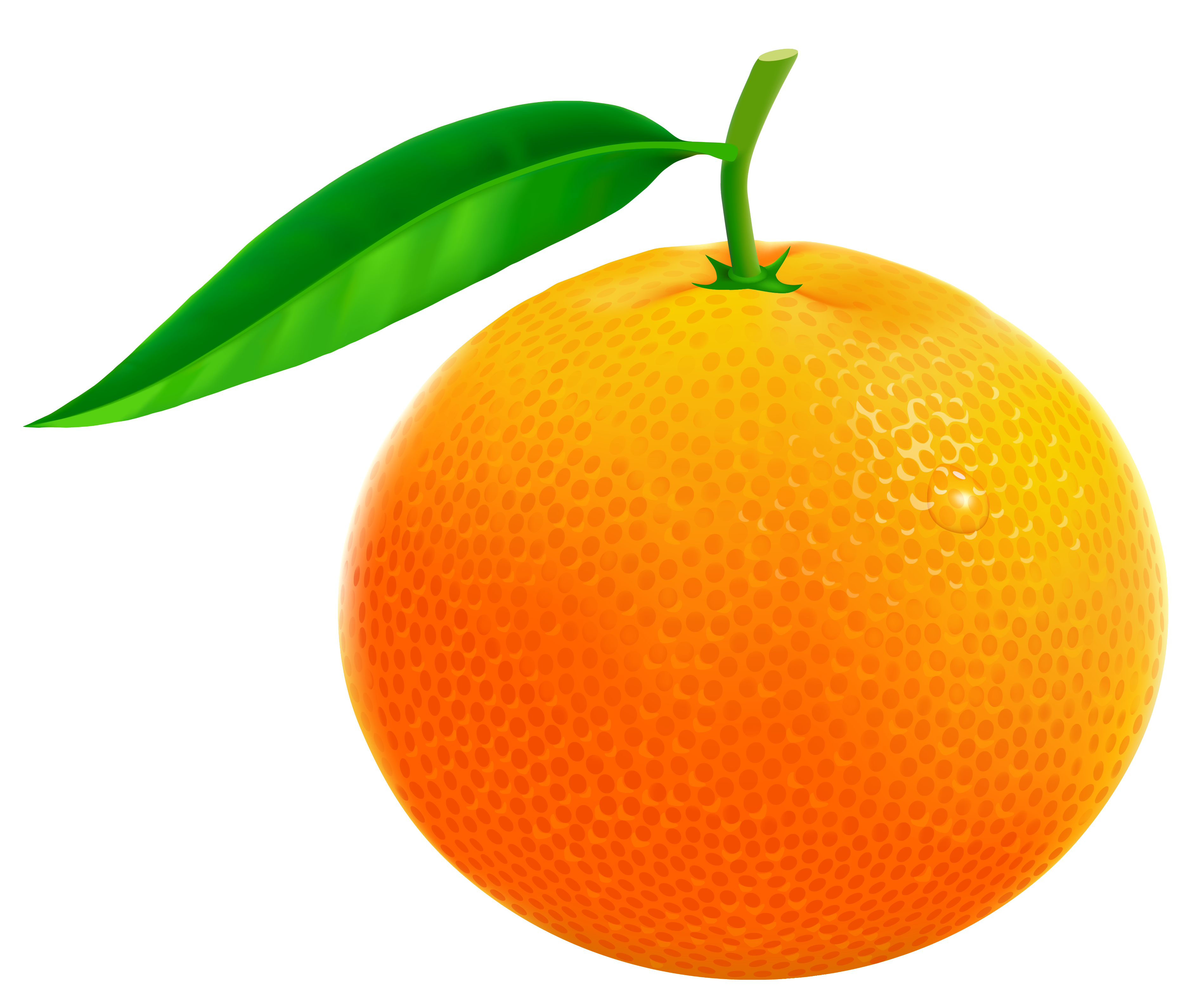 orange fruit clip art Gallery