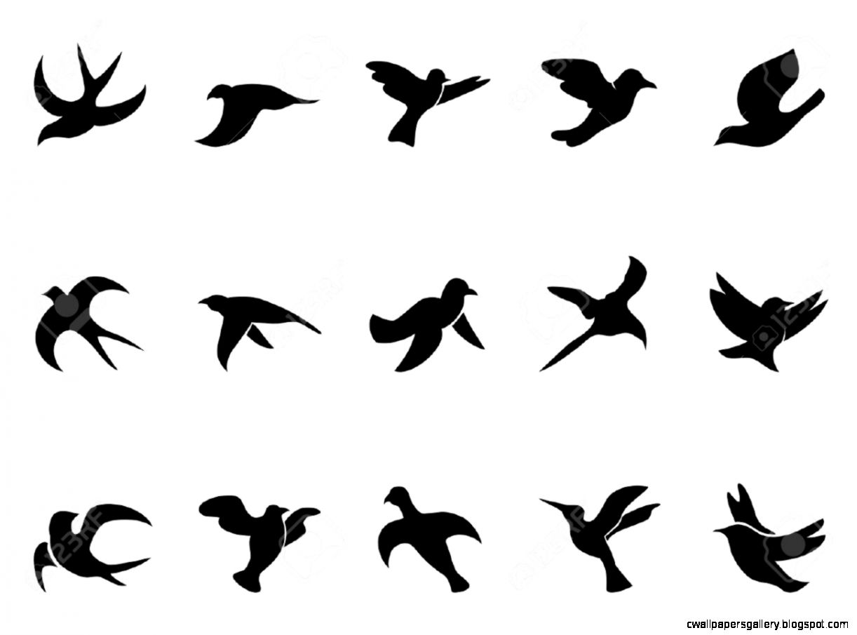 Small Flying Bird Silhouette | Wallpapers Gallery
