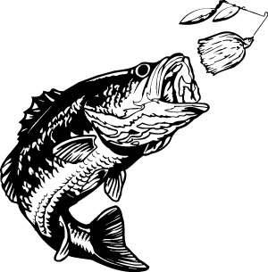 Bass fish clipart black and white - ClipartFox