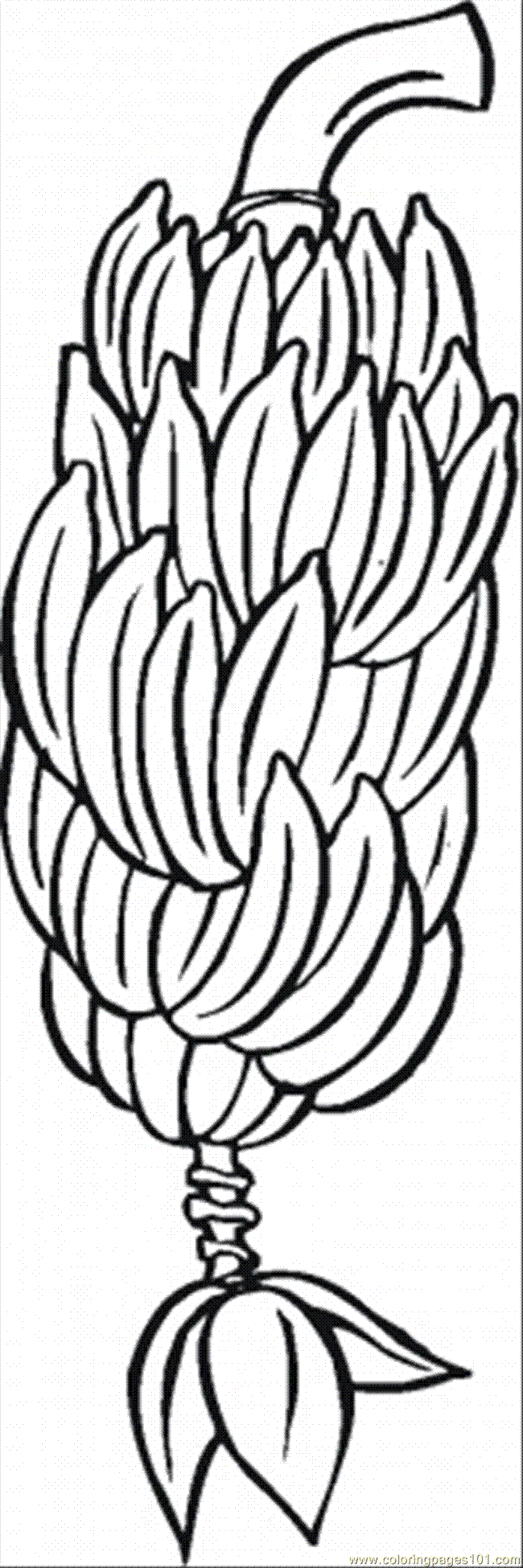 Clip Art Banana Tree