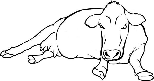 Cow Template - ClipArt Best