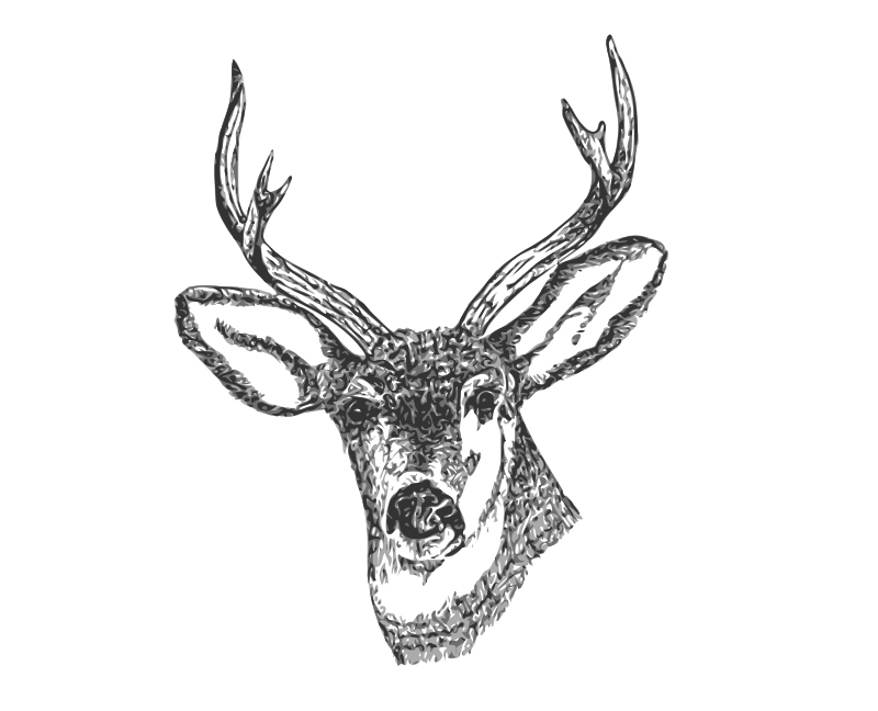 Clipart - Deer Head
