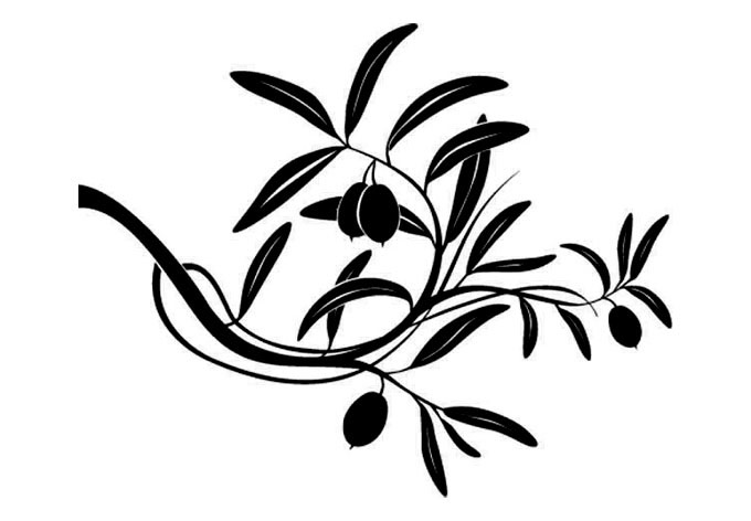 Olive Tree Branch Drawing - ClipArt Best