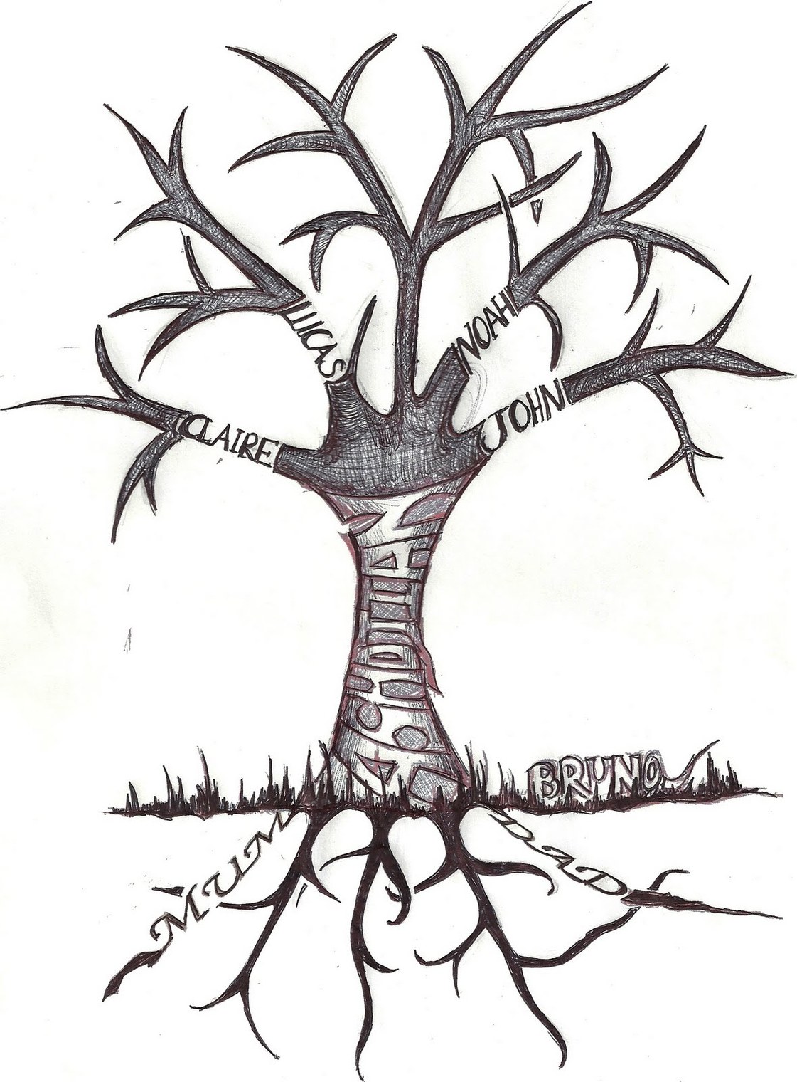 Family Tree Drawings Clipart - Free to use Clip Art Resource