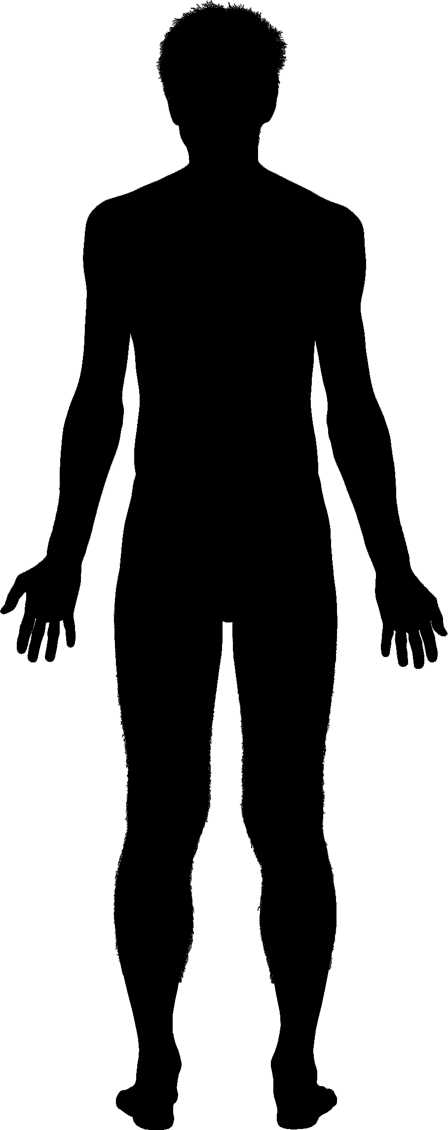 Human body outline clipart male