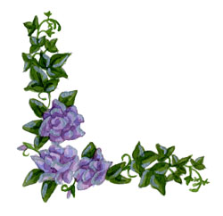 Rose Ivy Clipart