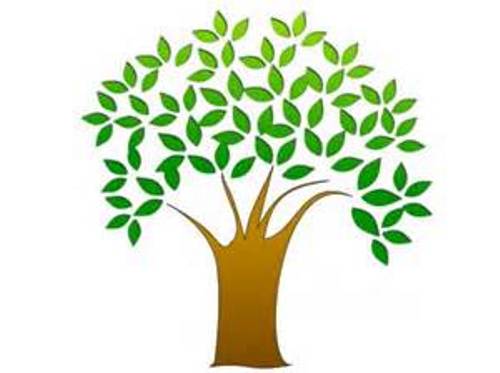 Tree Without Leaves Clipart