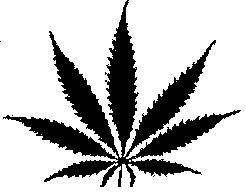Marijuana Plant Drawing - ClipArt Best