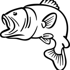 Bass Fish Outline Coloring Pages | Best Place to Color