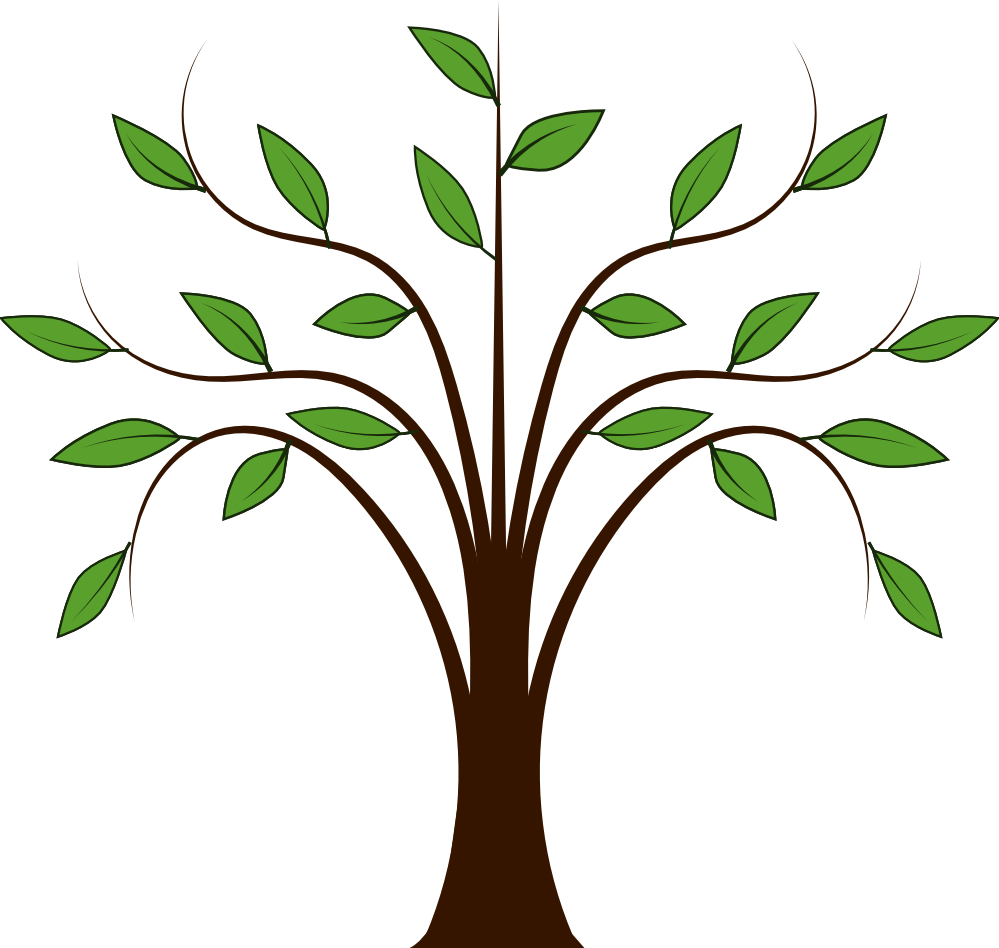 Tree Of Life Outline Clipart