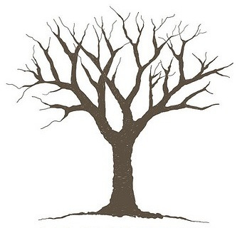 Best Photos of Oak Tree Without Leaves Template - Printable Trees ...